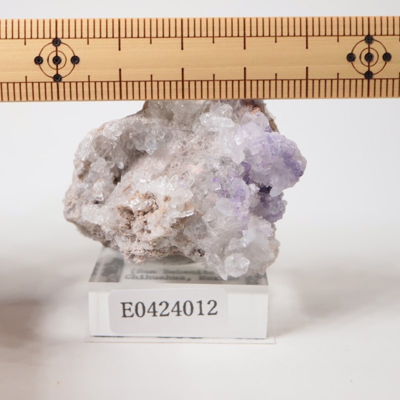 �ᥭ���������ե����饤�ȡ����륻�ɥˡ�