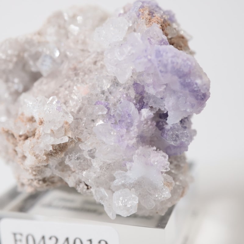 �ᥭ���������ե����饤�ȡ����륻�ɥˡ�