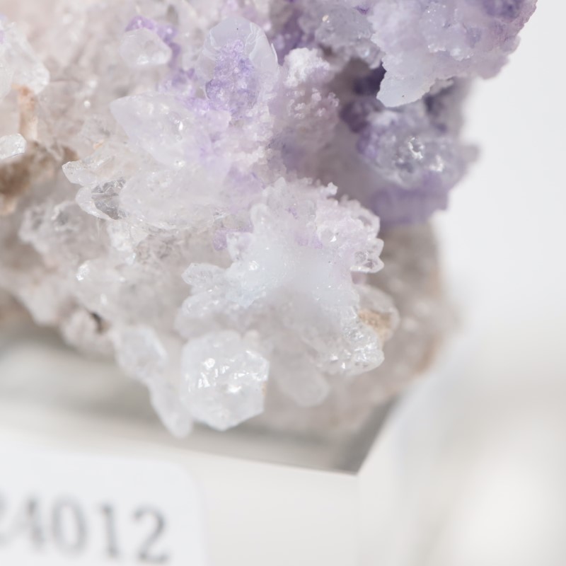 �ᥭ���������ե����饤�ȡ����륻�ɥˡ�