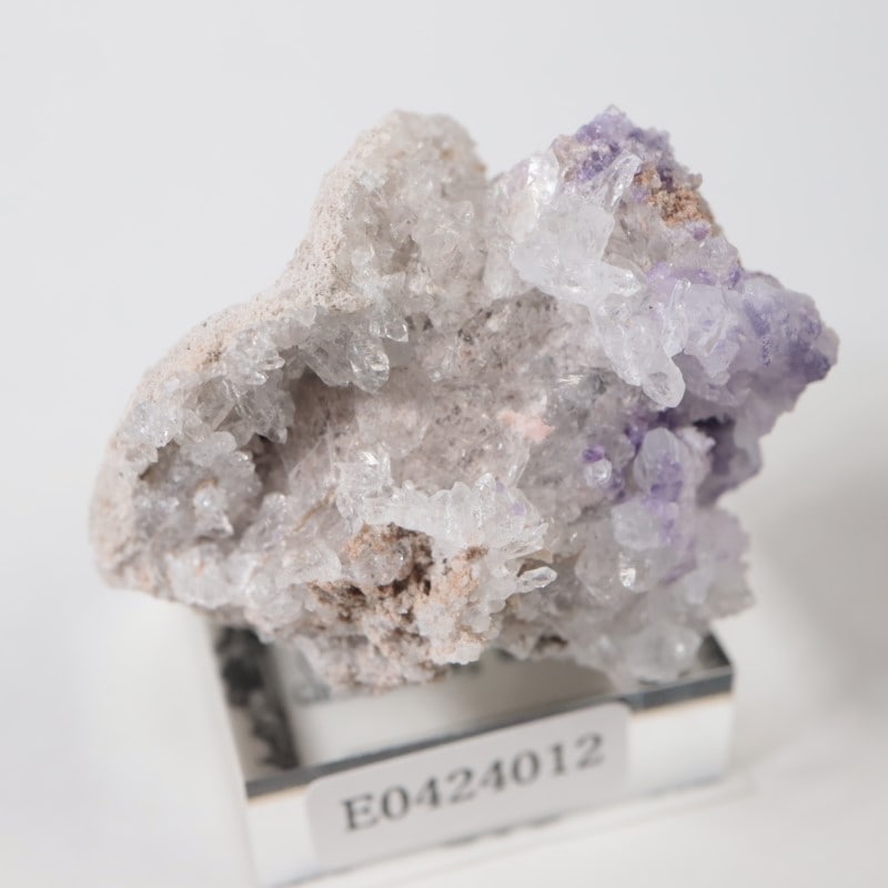 �ᥭ���������ե����饤�ȡ����륻�ɥˡ�