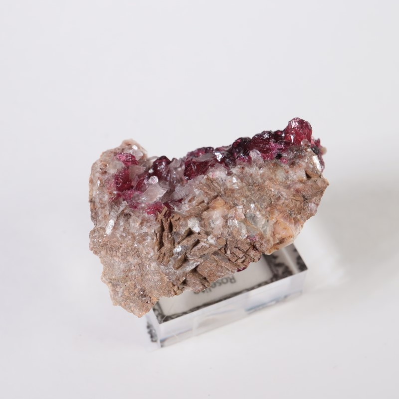 ����å����������饤��