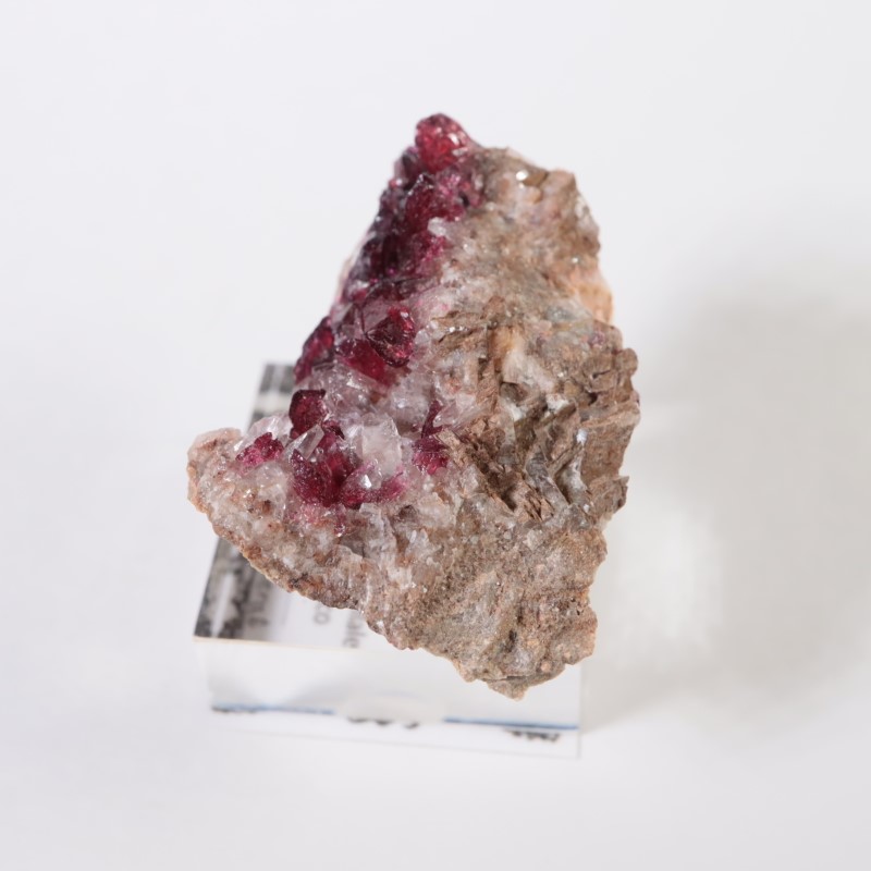 ����å����������饤��