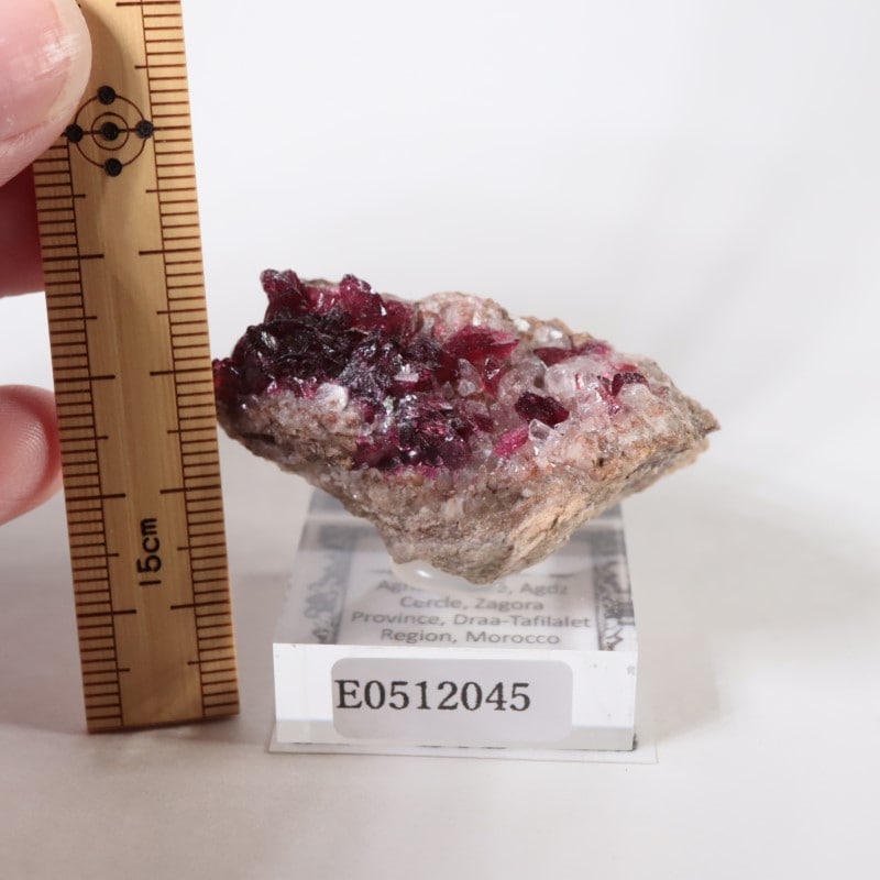 ����å����������饤��