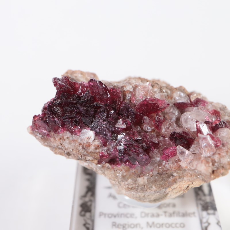 ����å����������饤��