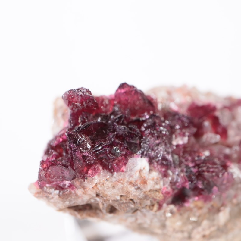 ����å����������饤��