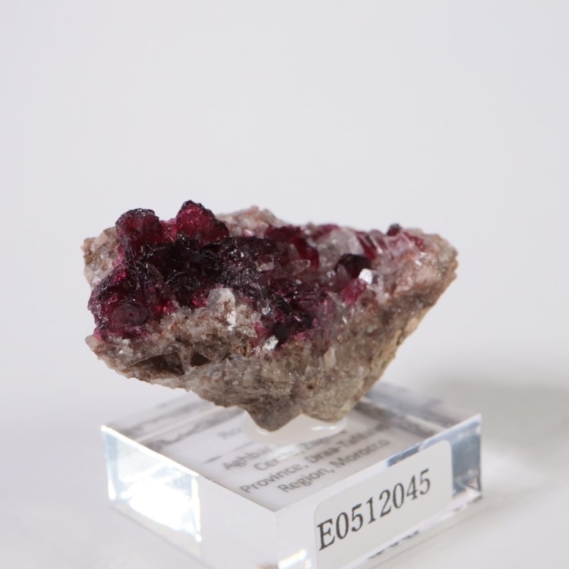 ����å����������饤��