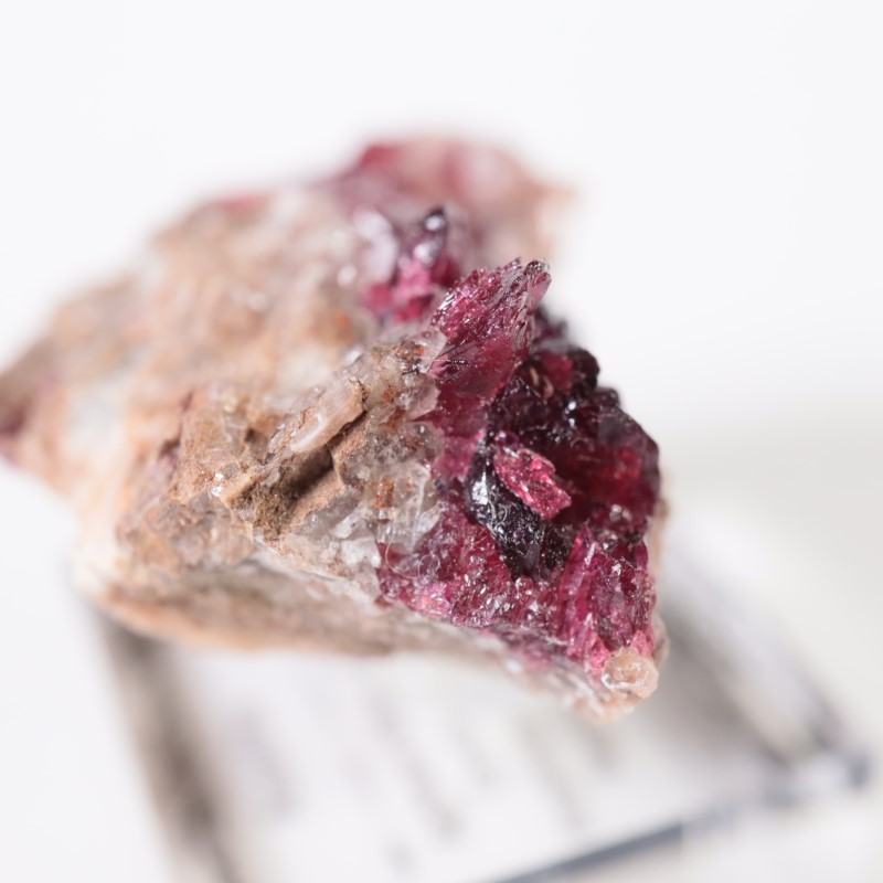 ����å����������饤��