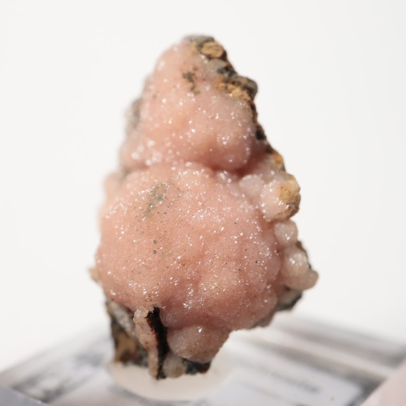 �ᥭ�������������ɥ���������