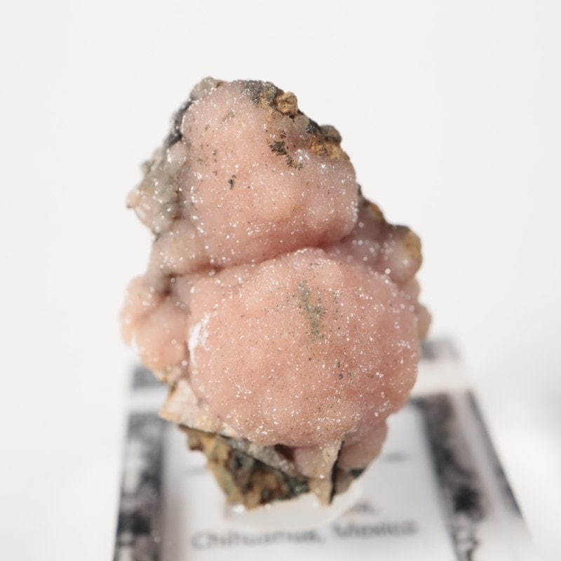 �ᥭ�������������ɥ���������