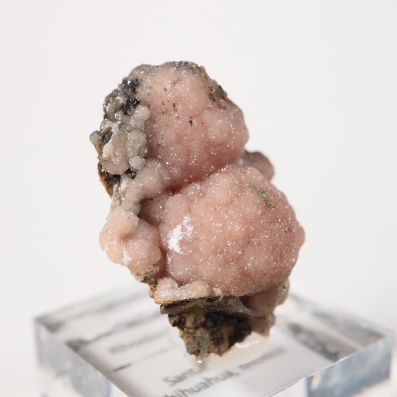 �ᥭ�������������ɥ���������