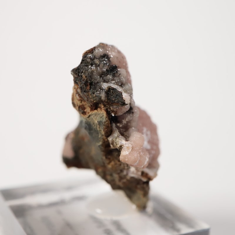 �ᥭ�������������ɥ���������