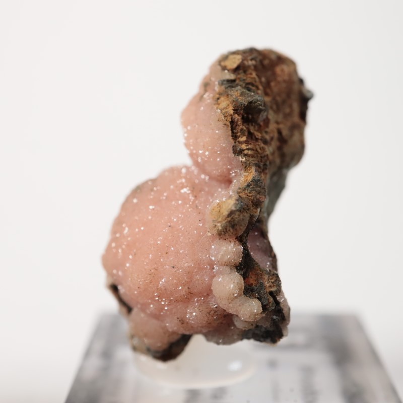 �ᥭ�������������ɥ���������