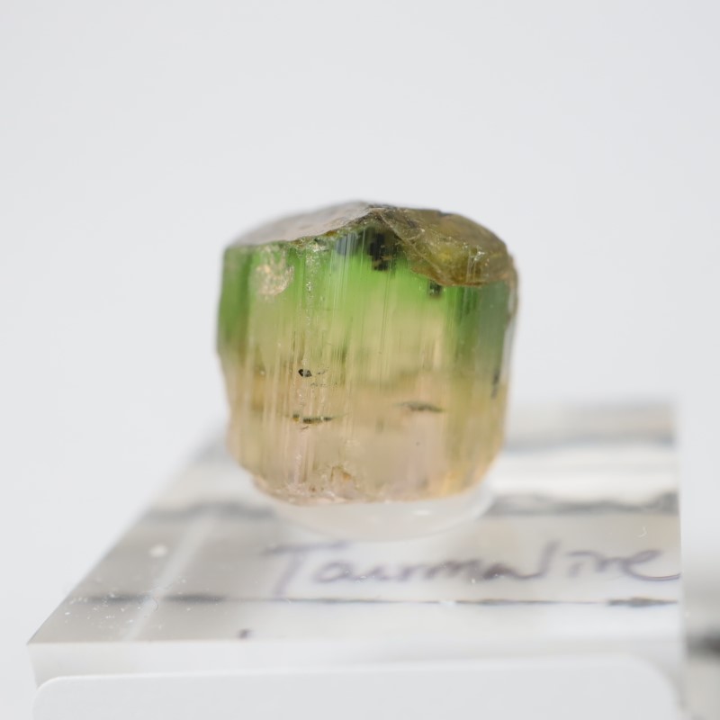 ���󥴻����ȥ�ޥ��