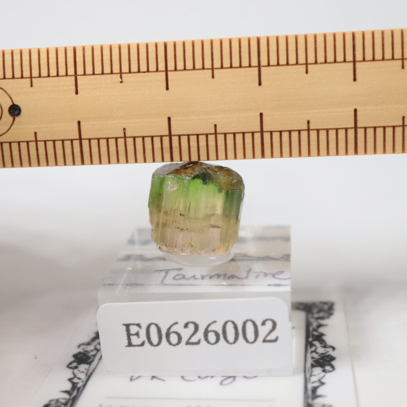 ���󥴻����ȥ�ޥ��