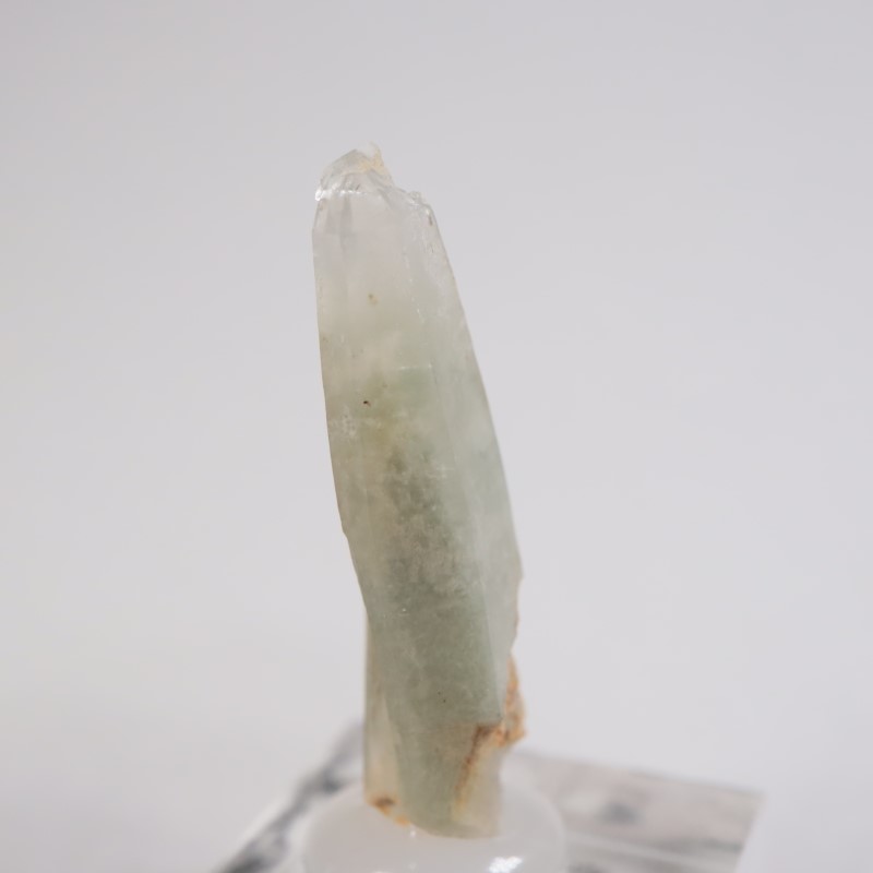 �Хå���ۻ��� �徽