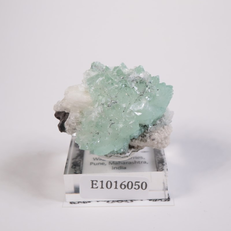 Wagholi�������ݥե��饤��