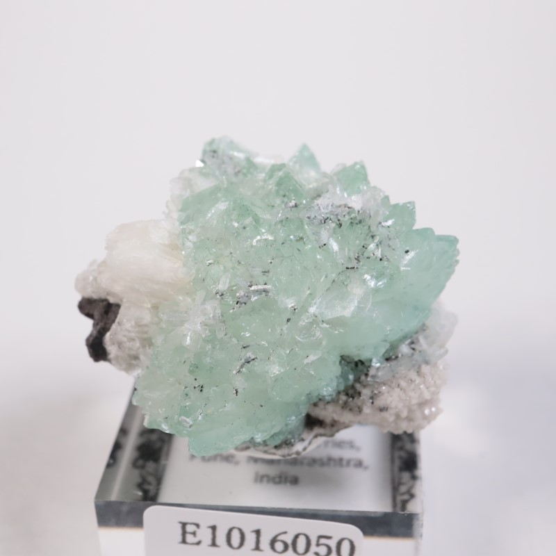 Wagholi�������ݥե��饤��