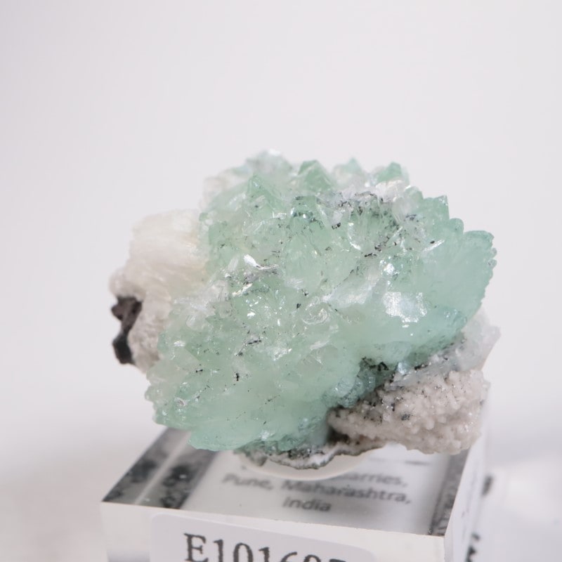 Wagholi�������ݥե��饤��