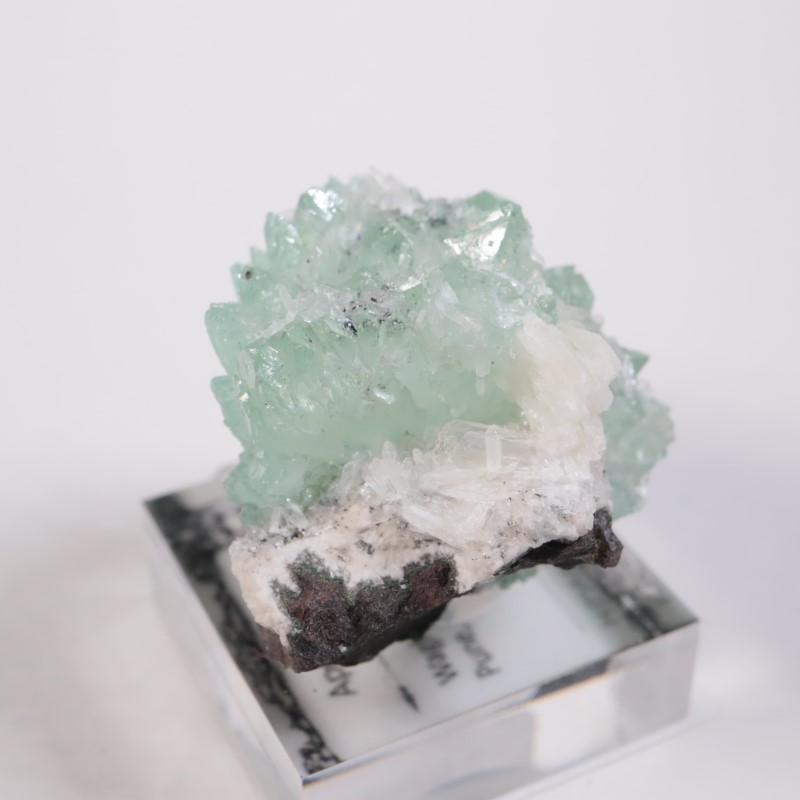 Wagholi�������ݥե��饤��