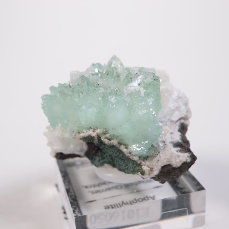 Wagholi�������ݥե��饤��