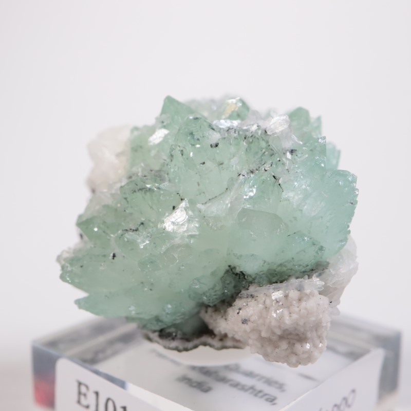 Wagholi�������ݥե��饤��