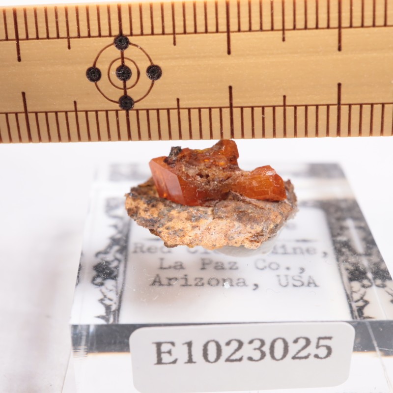 ��åɥ��饦�ɹۻ�������ե��ʥ���