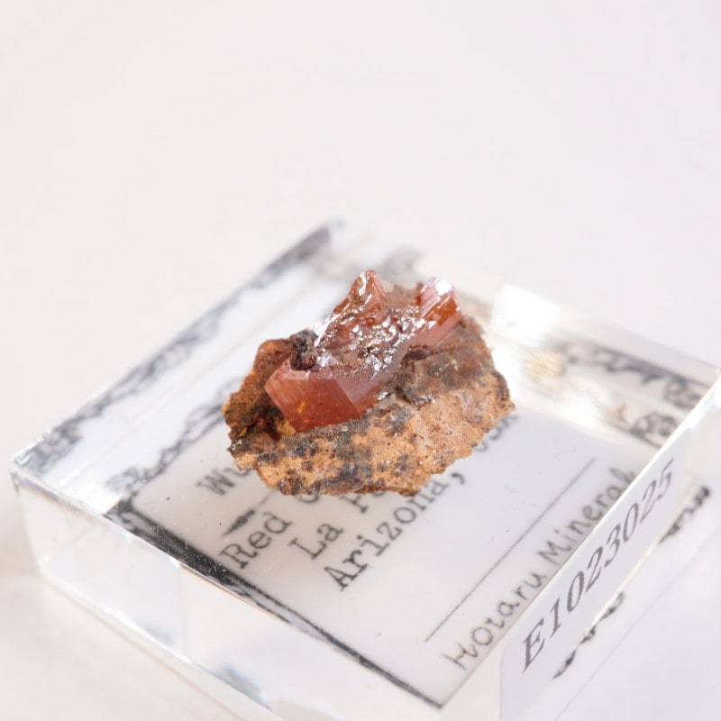 ��åɥ��饦�ɹۻ�������ե��ʥ���