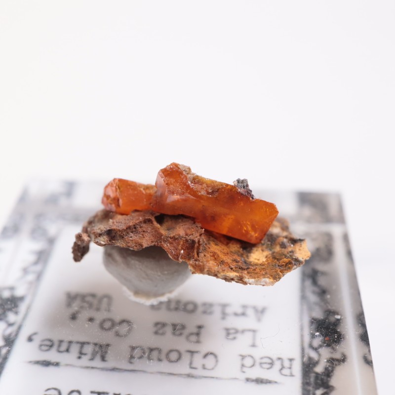 ��åɥ��饦�ɹۻ�������ե��ʥ���