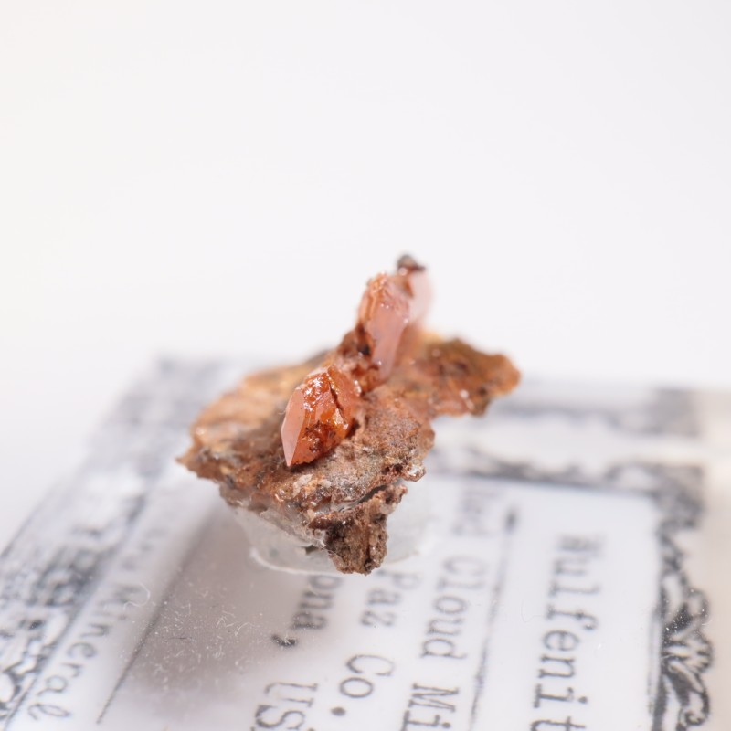 ��åɥ��饦�ɹۻ�������ե��ʥ���