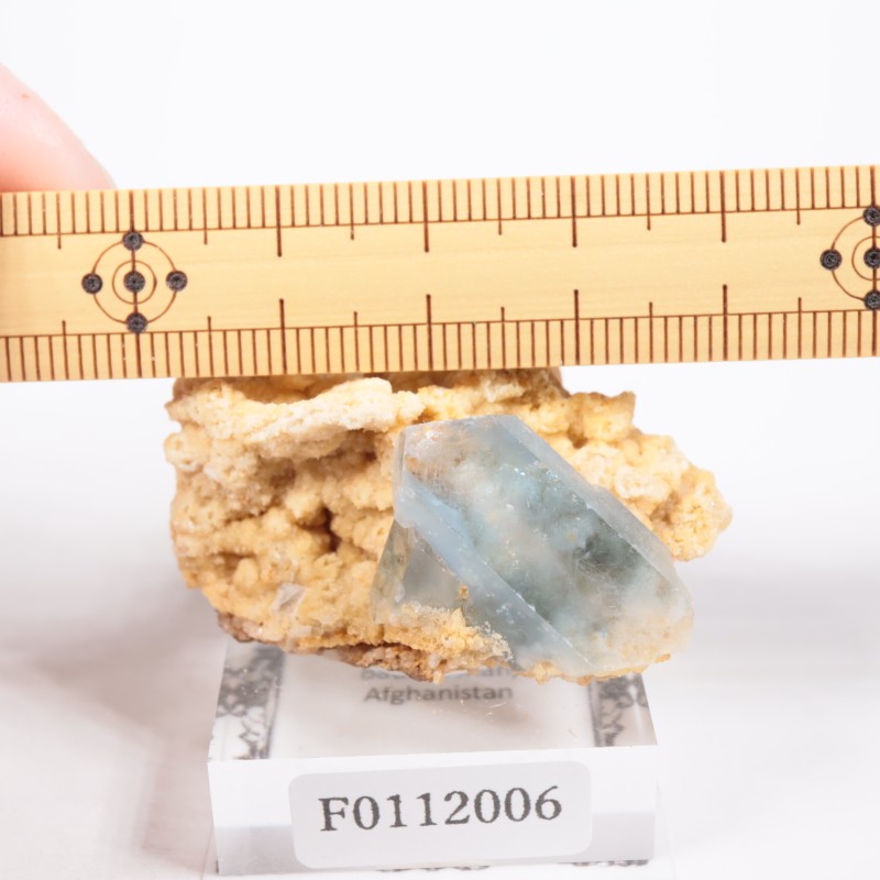 ���ե��˥����� ���쥹�ƥ���