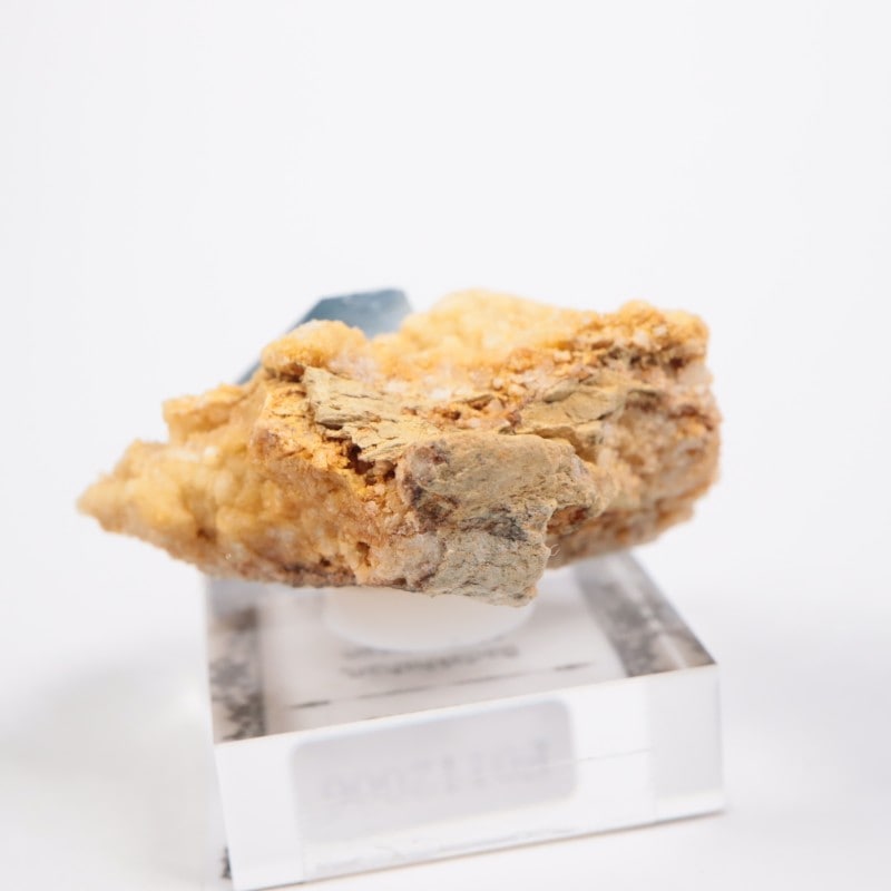 ���ե��˥����� ���쥹�ƥ���