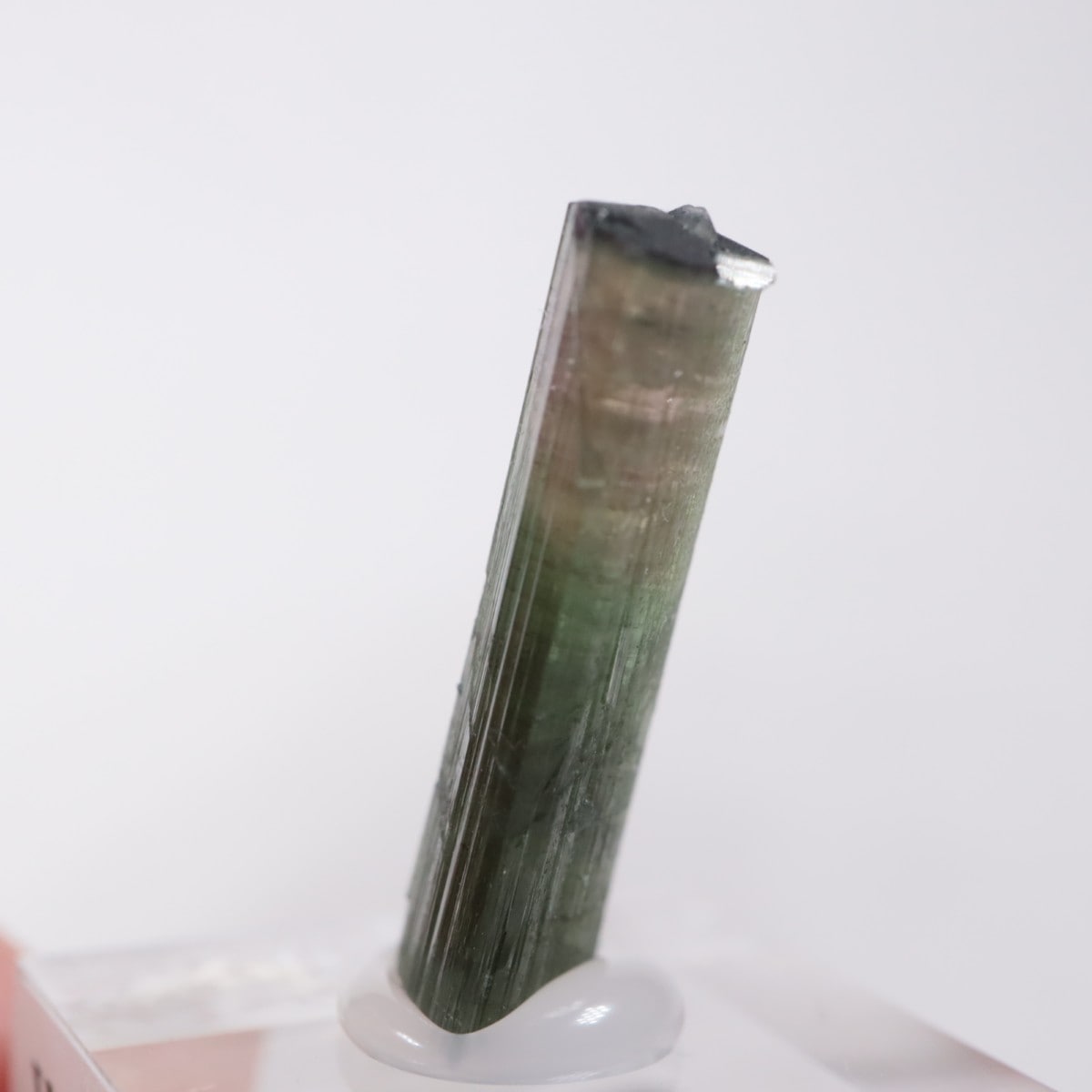 ����ե���˥����� �ȥ�ޥ��