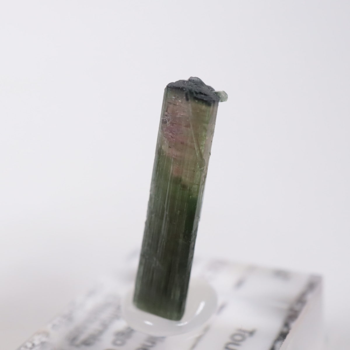 ����ե���˥����� �ȥ�ޥ��