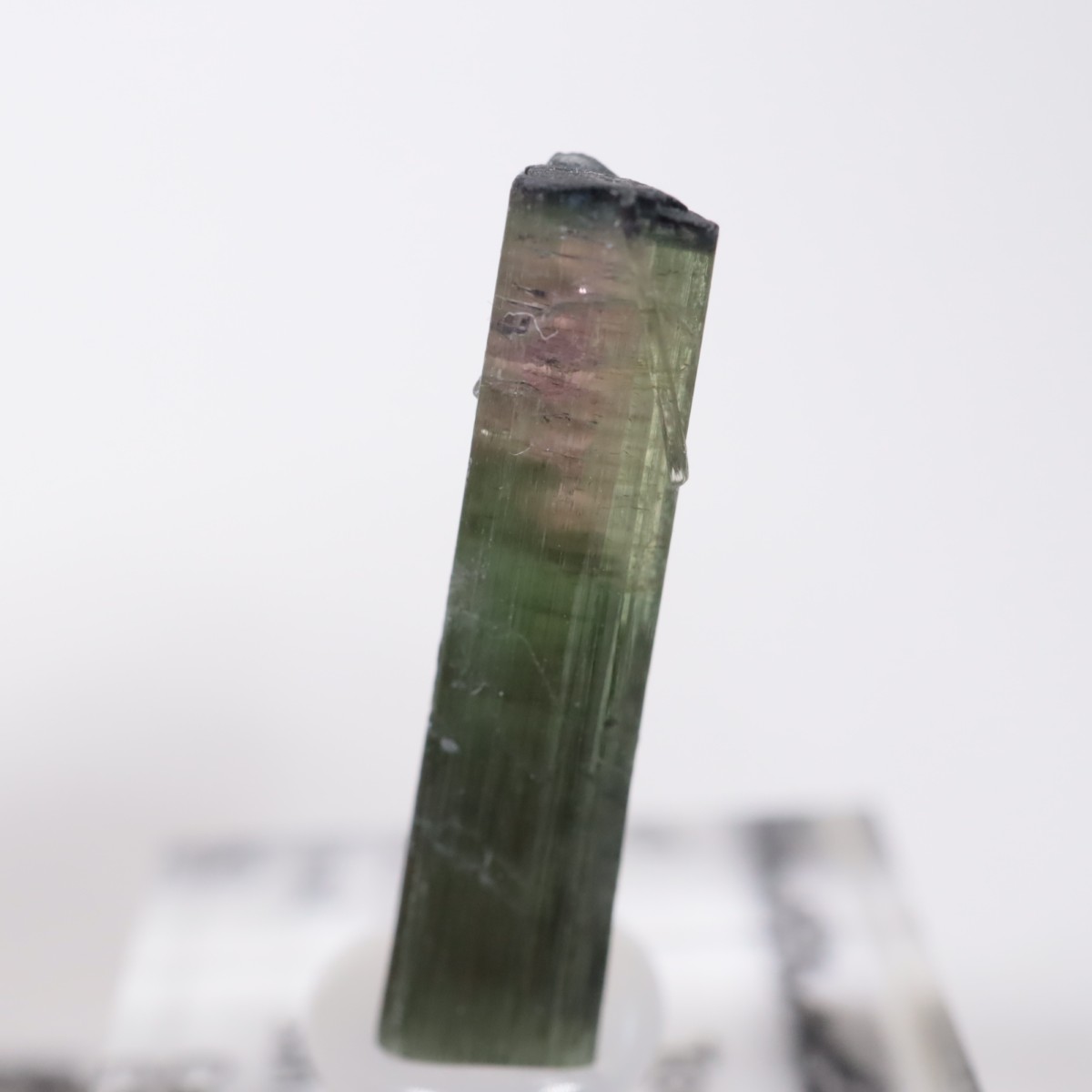 ����ե���˥����� �ȥ�ޥ��