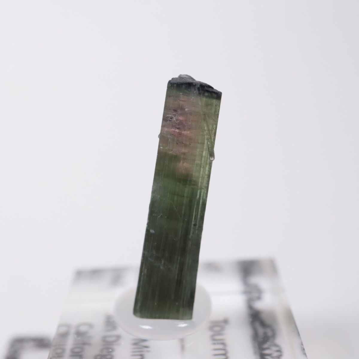 ����ե���˥����� �ȥ�ޥ��