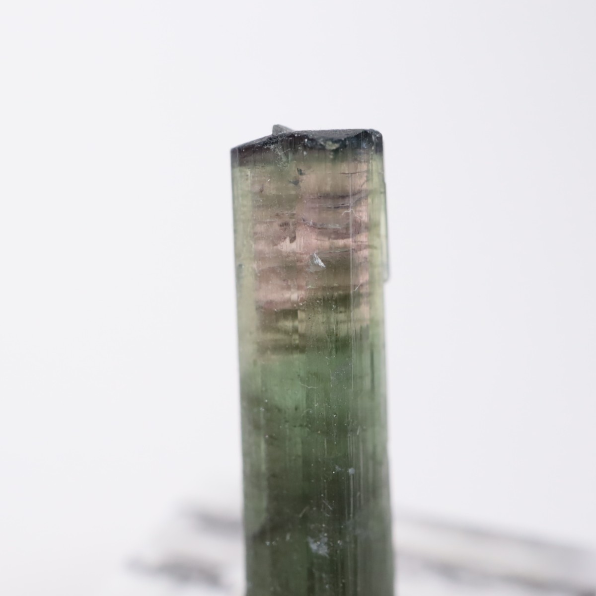 ����ե���˥����� �ȥ�ޥ��