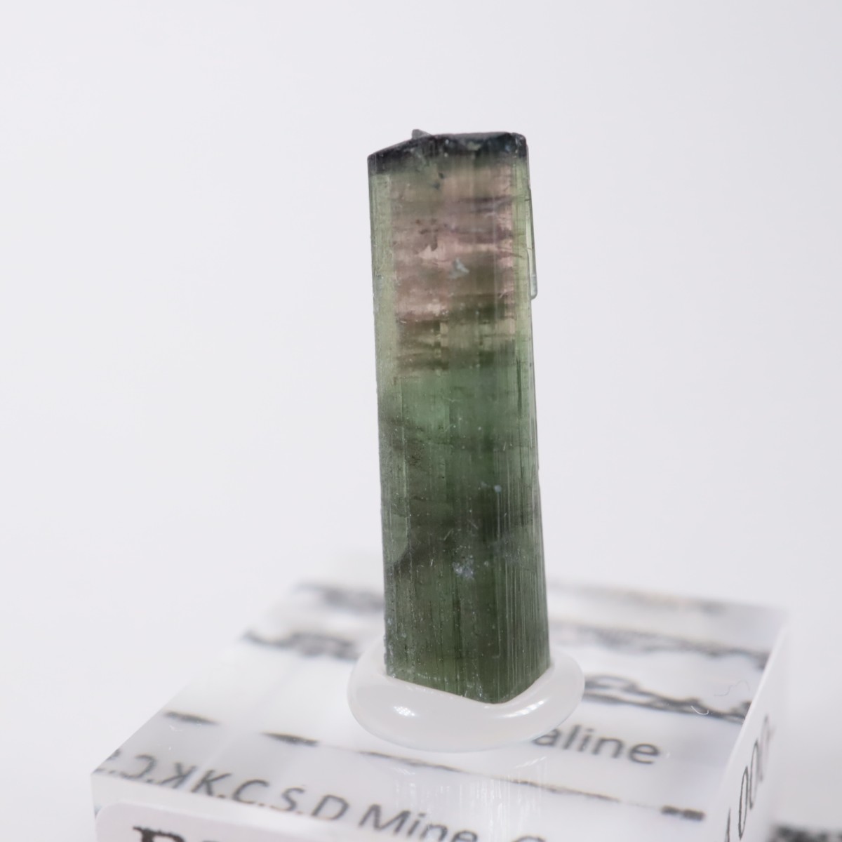 ����ե���˥����� �ȥ�ޥ��