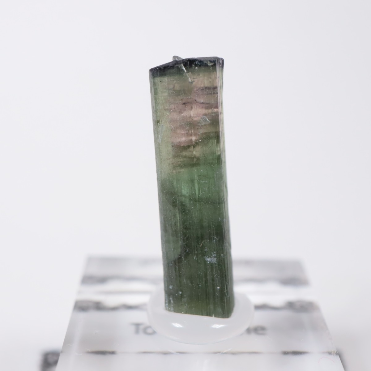 ����ե���˥����� �ȥ�ޥ��