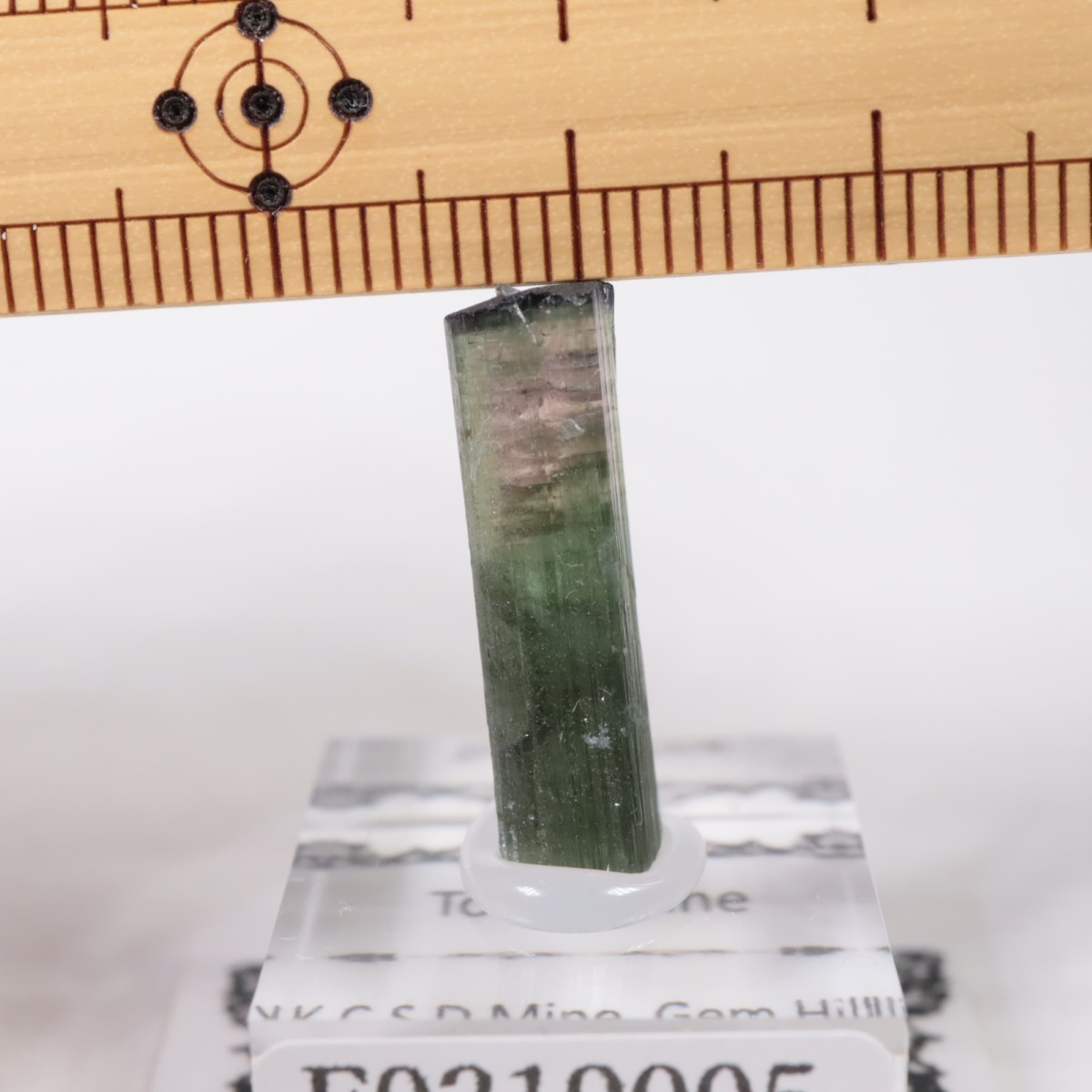 ����ե���˥����� �ȥ�ޥ��