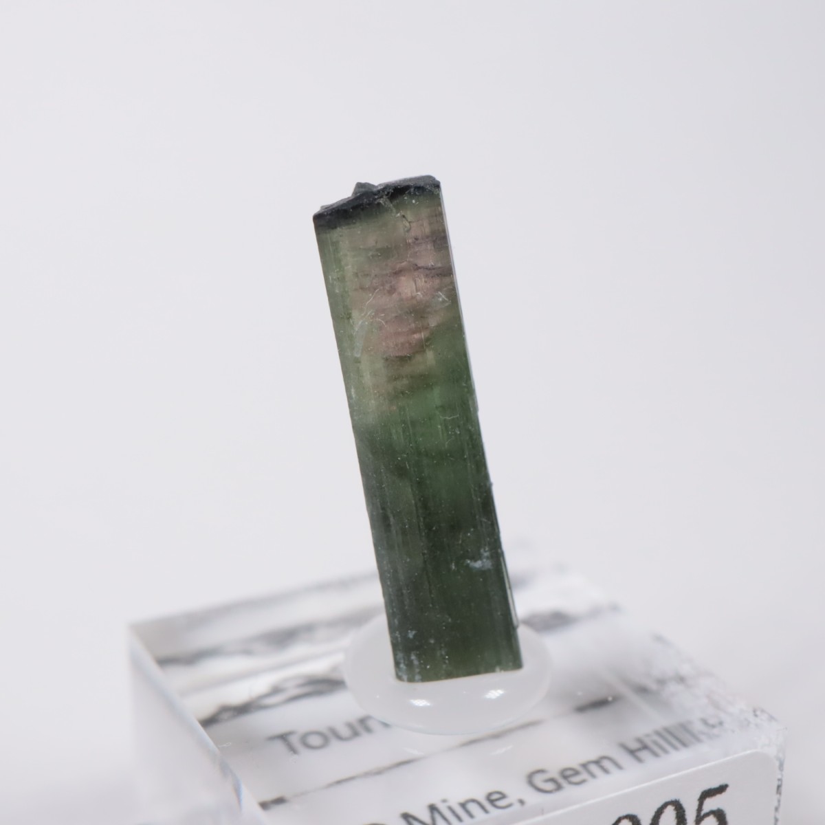 ����ե���˥����� �ȥ�ޥ��