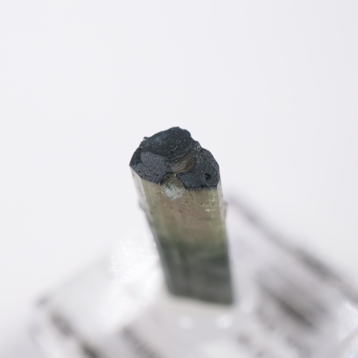 ����ե���˥����� �ȥ�ޥ��