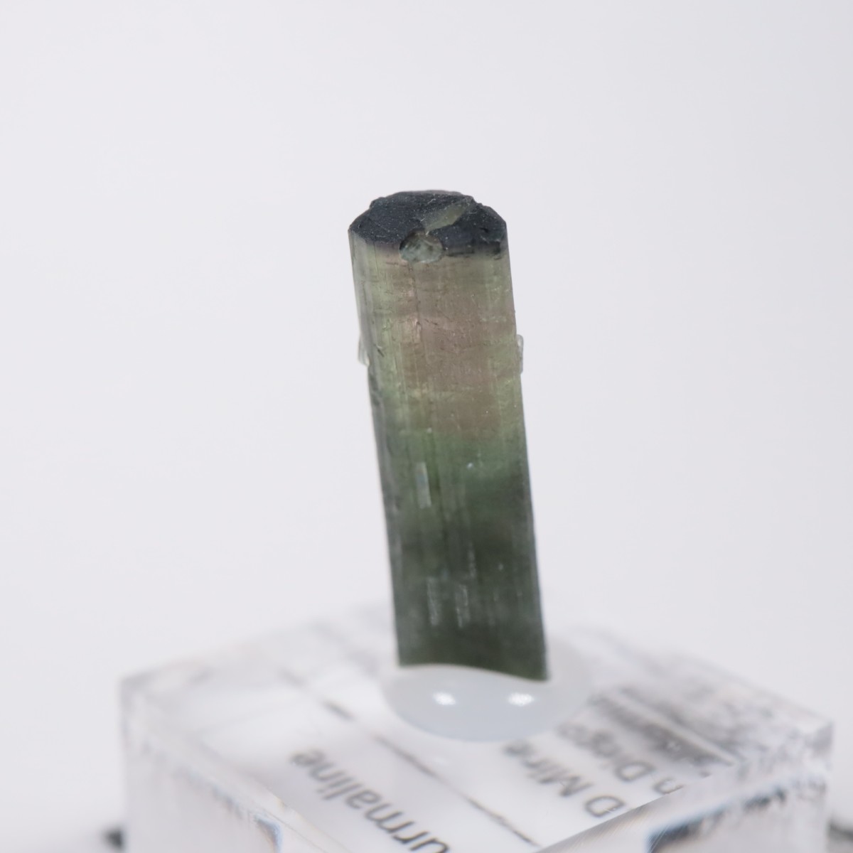 ����ե���˥����� �ȥ�ޥ��