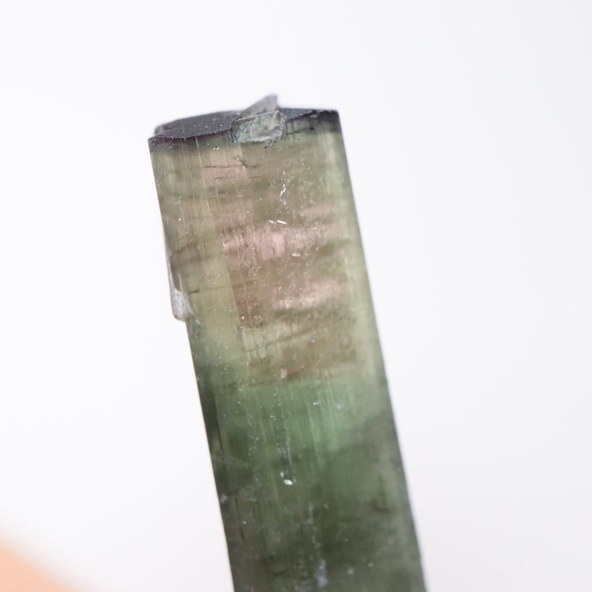 ����ե���˥����� �ȥ�ޥ��