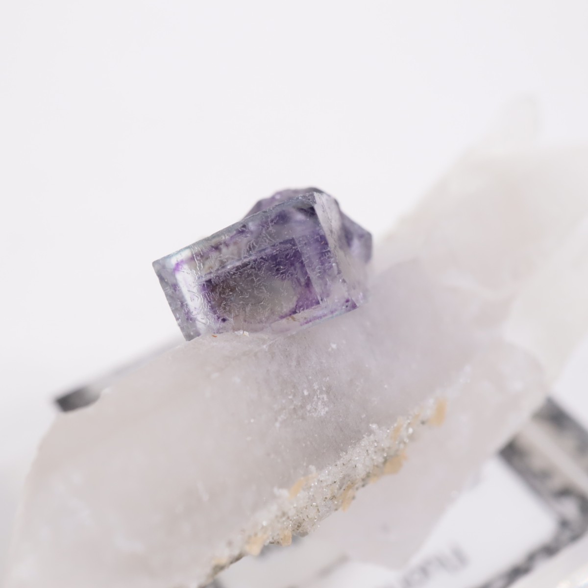 �䥪���󥷥��ۻ� �ե����饤��