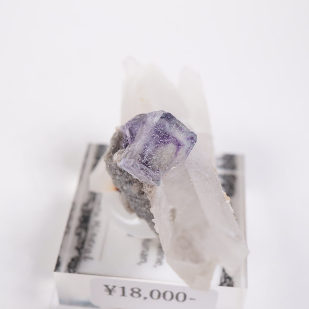 �䥪���󥷥��ۻ� �ե����饤��