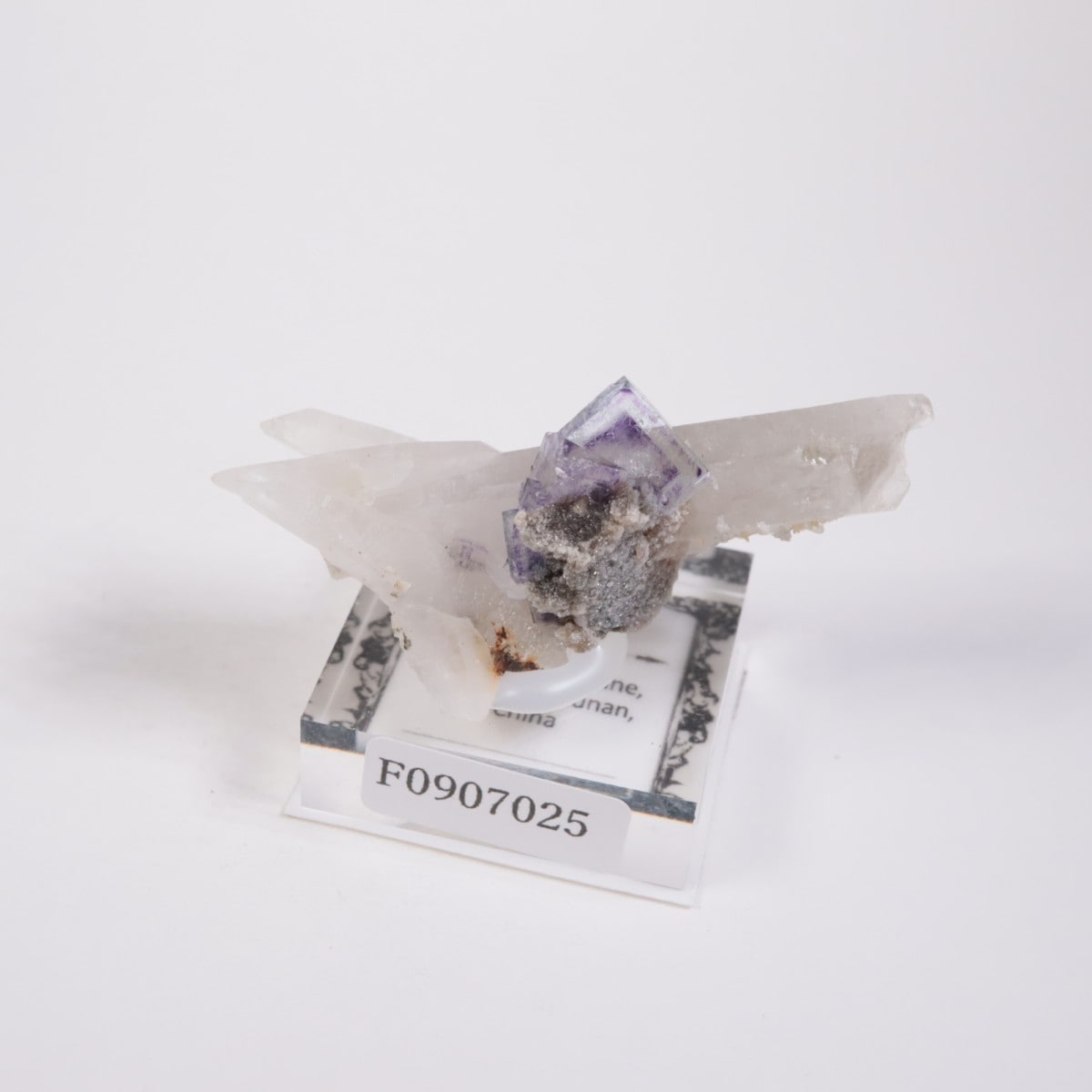 �䥪���󥷥��ۻ� �ե����饤��