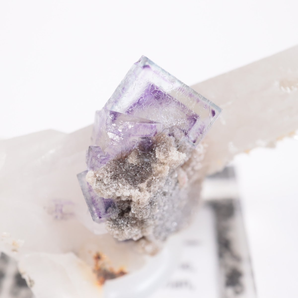 �䥪���󥷥��ۻ� �ե����饤��