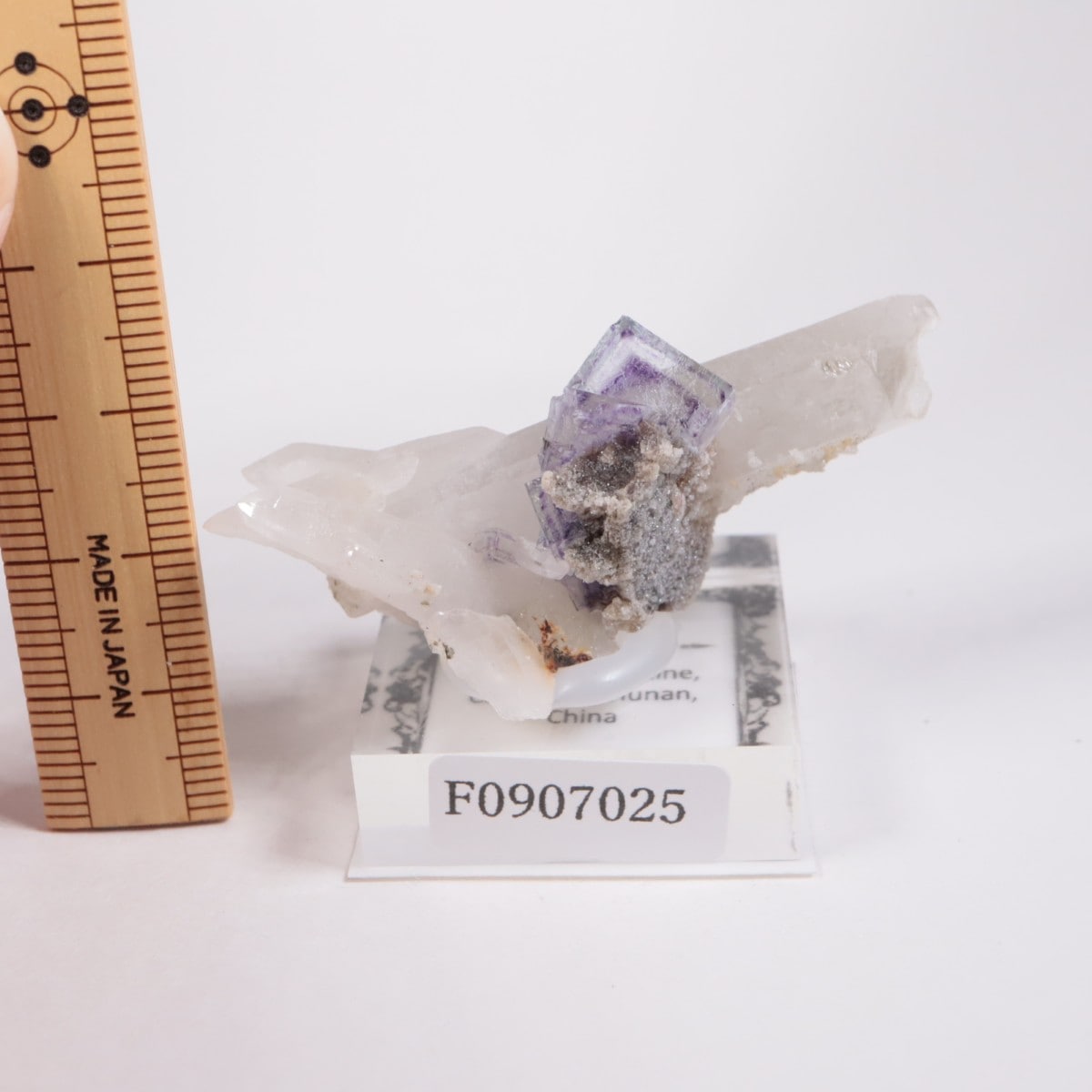 �䥪���󥷥��ۻ� �ե����饤��