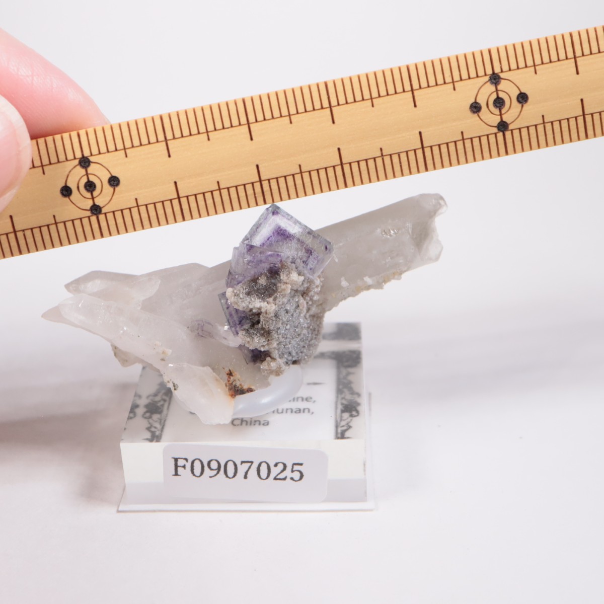 �䥪���󥷥��ۻ� �ե����饤��