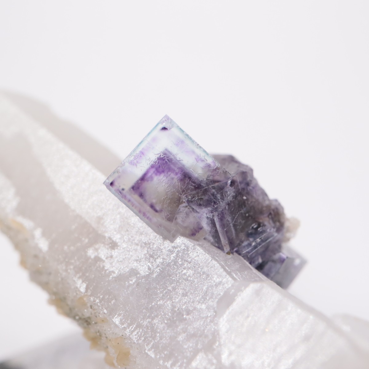 �䥪���󥷥��ۻ� �ե����饤��